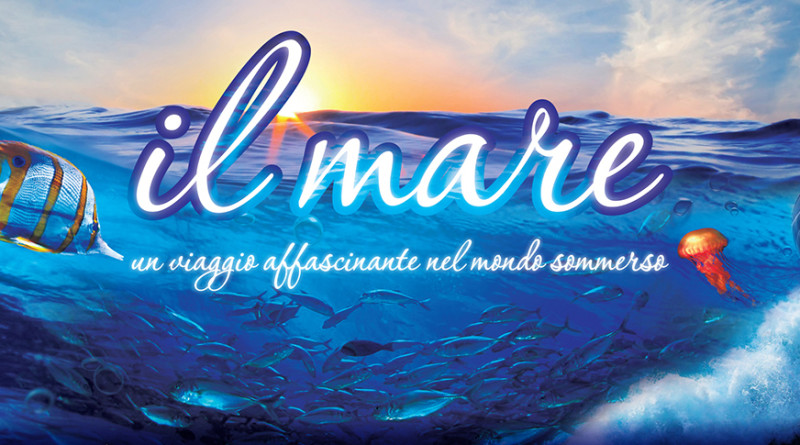 BANNER_IL_MARE_agg_21_01_2016