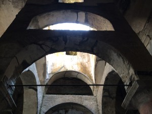 IMG_5358