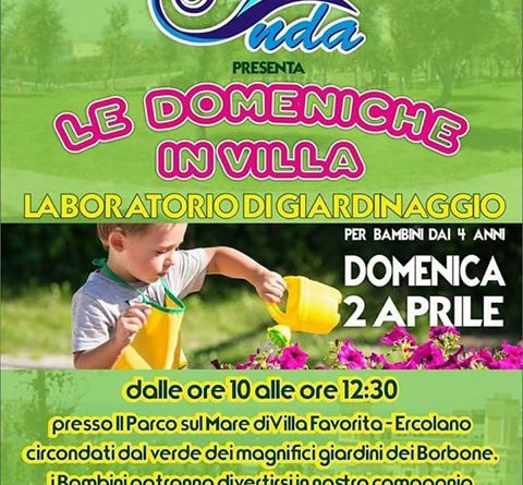 domenica in villajpg