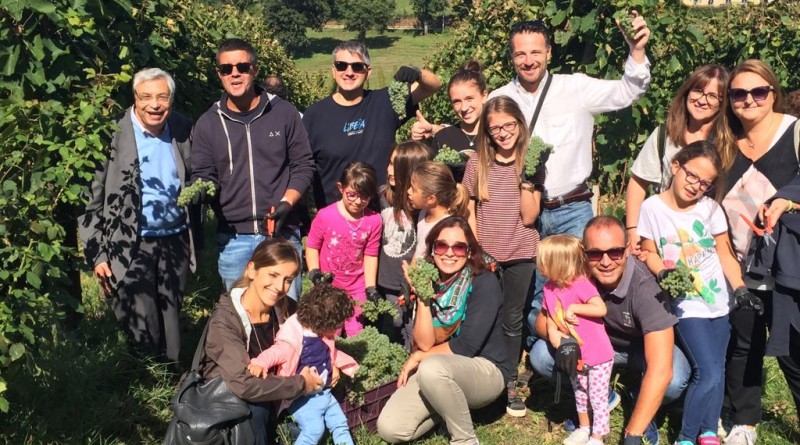 vendemmia alla tenuta cavalier pepe